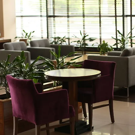 Mercure Airport 4*