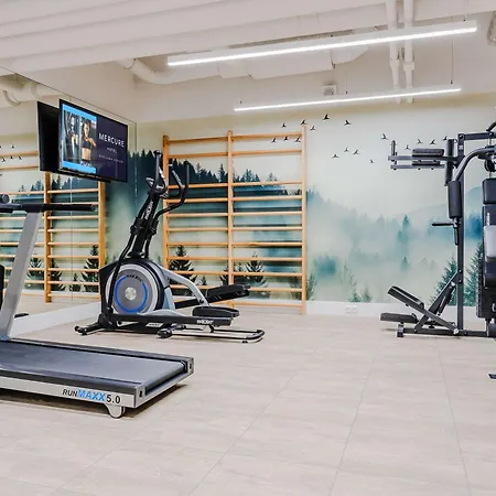 Отель Mercure Airport 4*